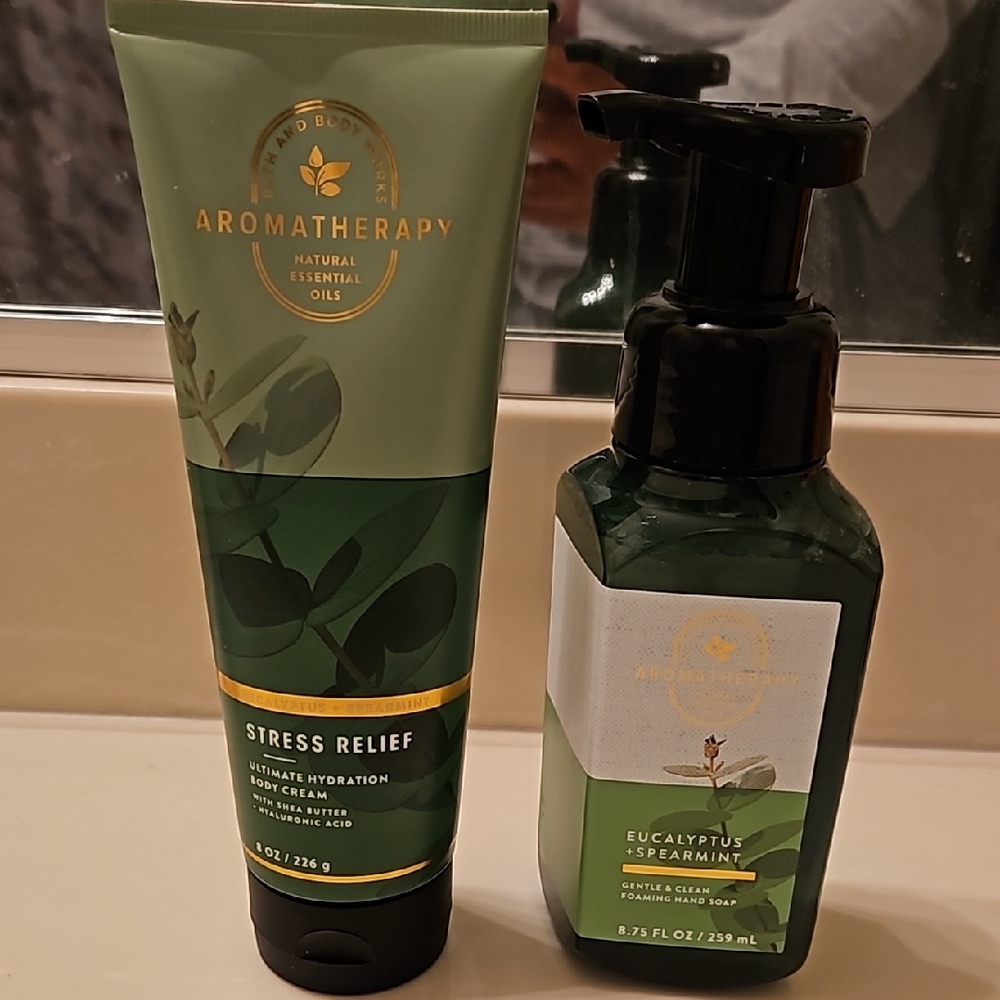Bath and Body Works Aromatherapy Eucalyptus + Spearmint Set